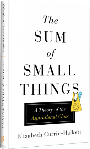 sum-small-things-2-306x508